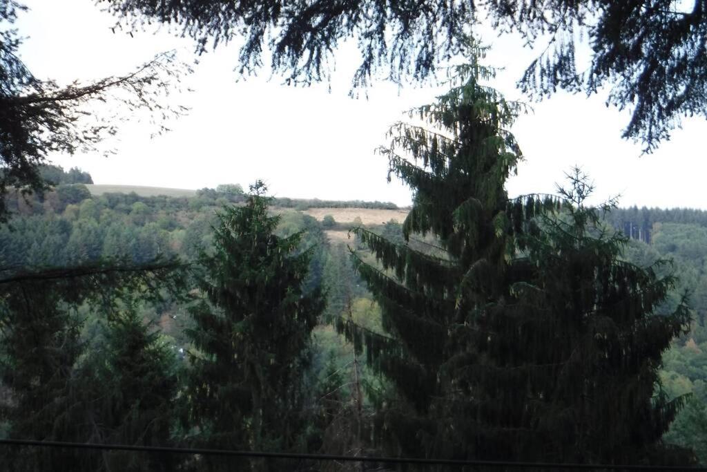 The Vianden Cottage - Charming Cottage In The Forest Zewnętrze zdjęcie